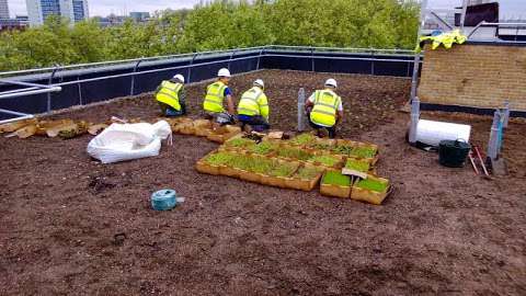 Eco Green Roofs photo